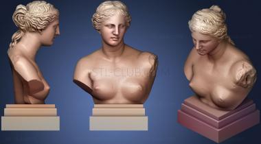 3D model Afrodita (STL)